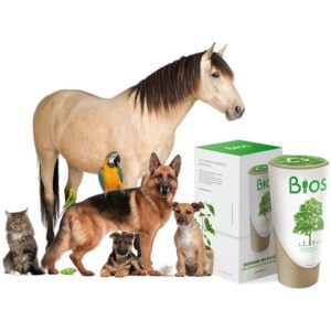 Bios Urn for Pets.