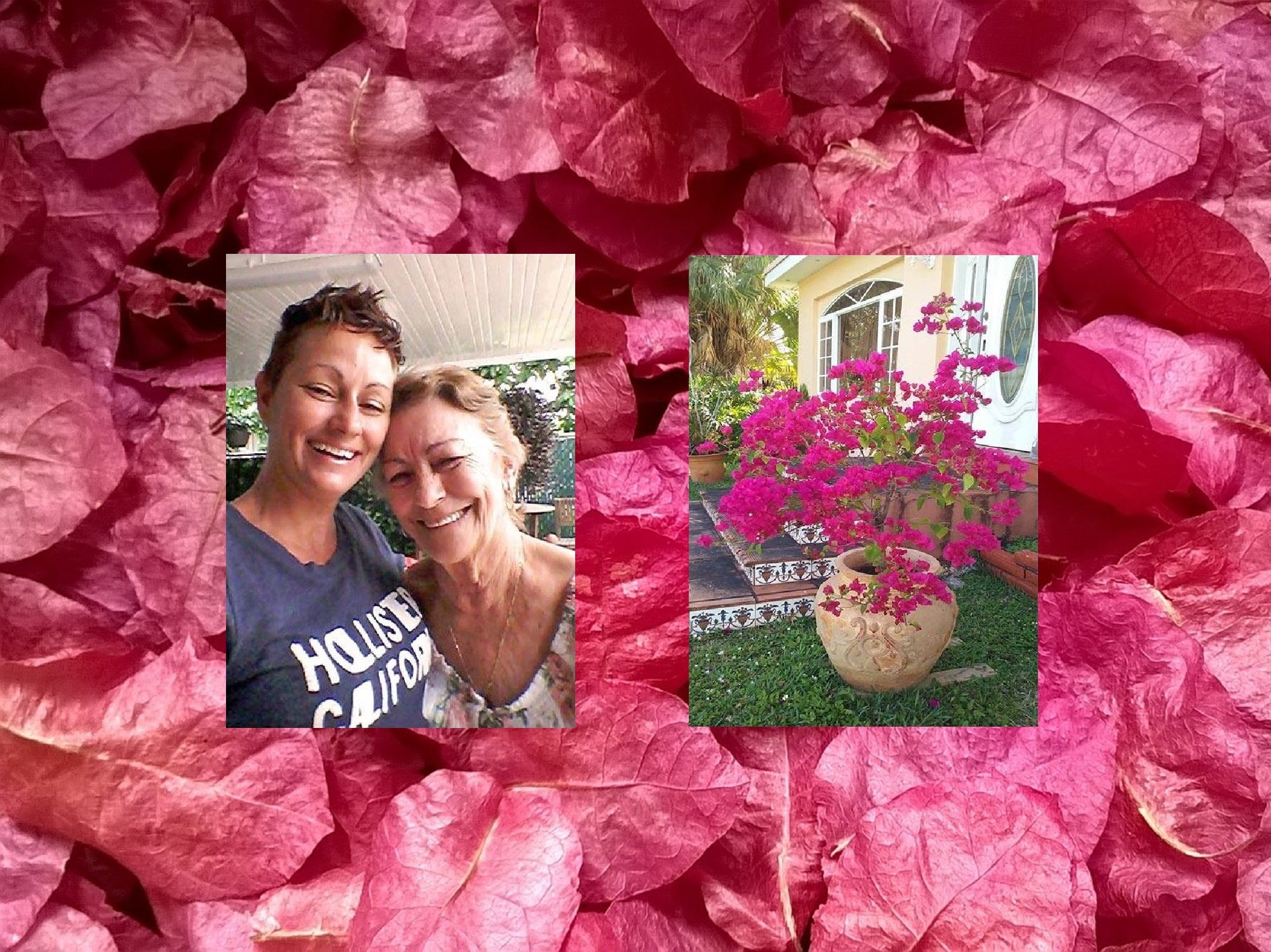 Sumi used a Bios Urn to plant a Bougainvillea tree to honour her mother.
