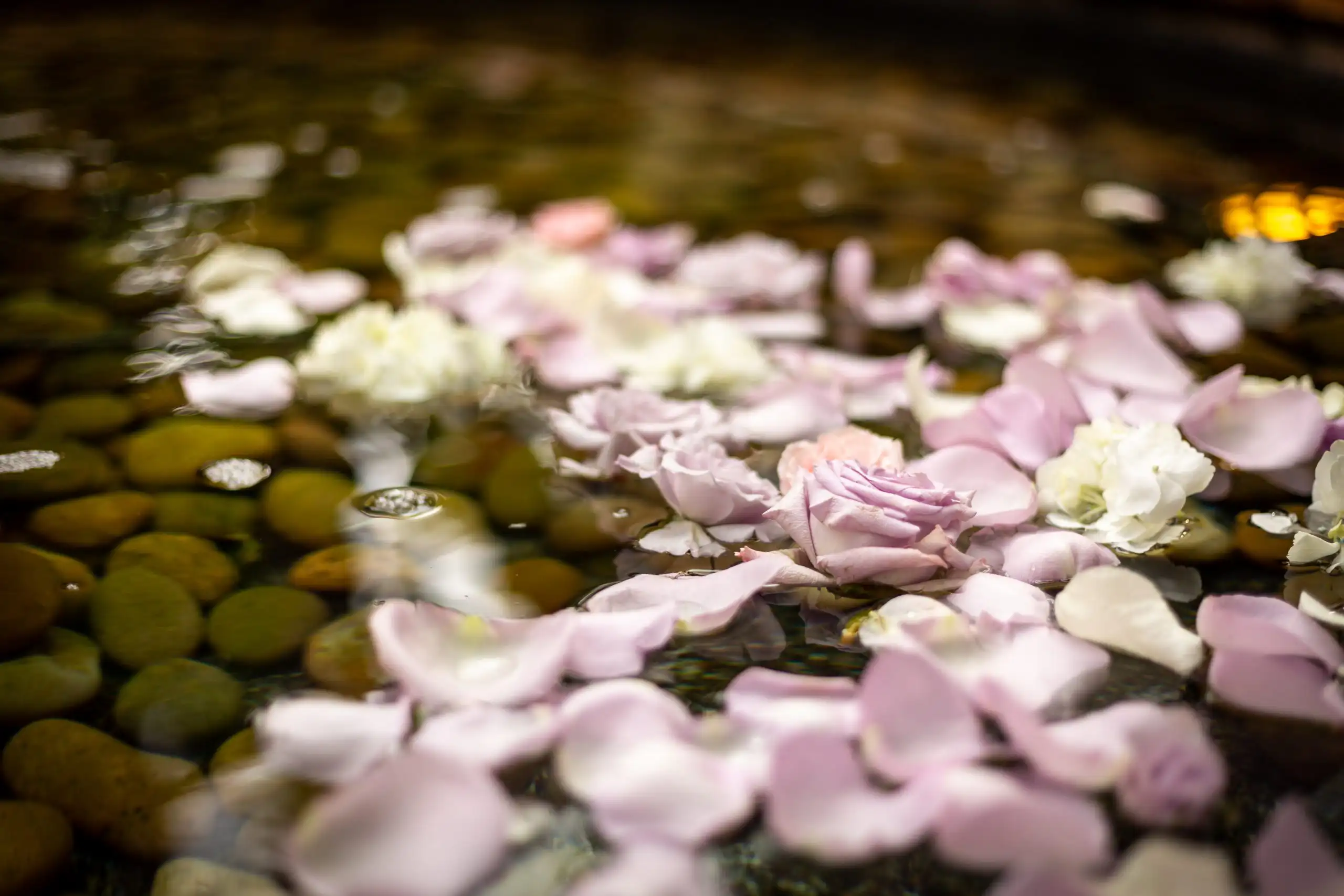 Handcrafted Biodegradable Urns for scattering ashes